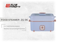Steamer ZG-06